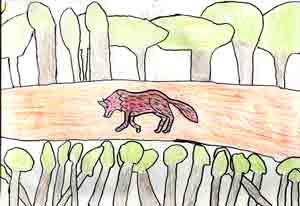 Pauvre loup !